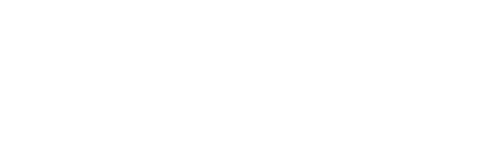 Healthy Sexual Life Logo